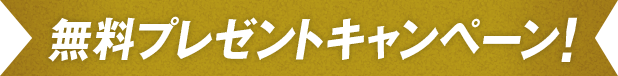 無料プレゼントキャンペーン