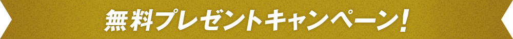 無料プレゼントキャンペーン